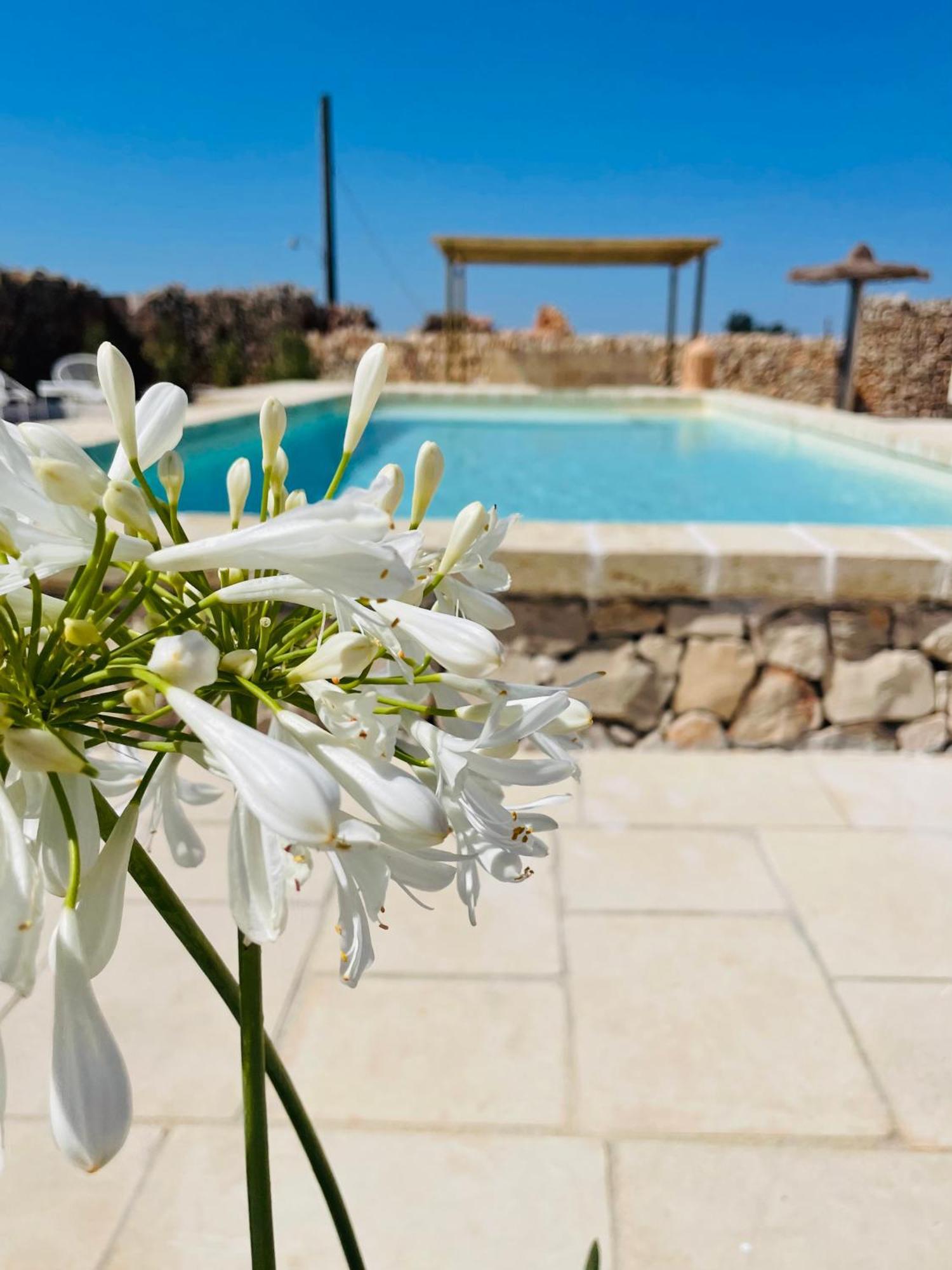 Masseria Voluzzi كوبرتينو المظهر الخارجي الصورة