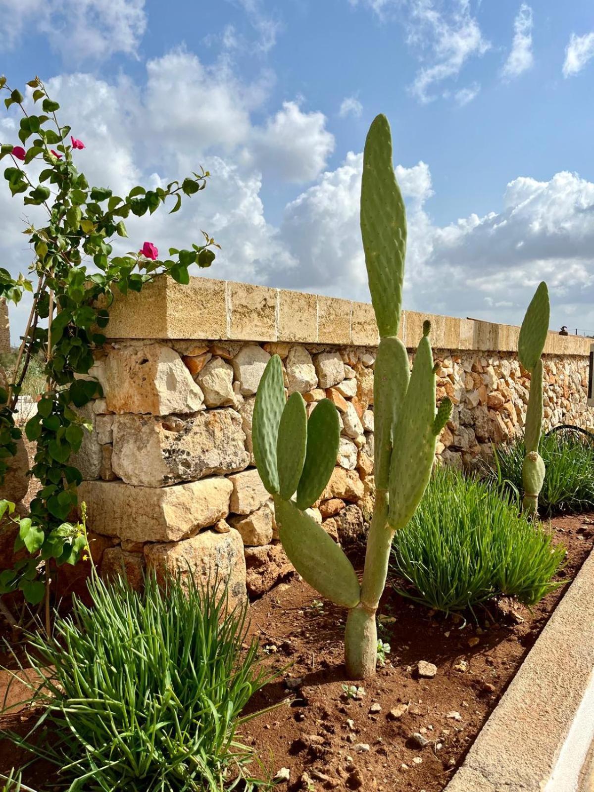 Masseria Voluzzi كوبرتينو المظهر الخارجي الصورة
